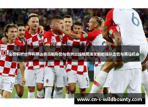 全面解析世界杯预选赛当前形势与各洲出线格局演变前瞻强队走势与黑马机会