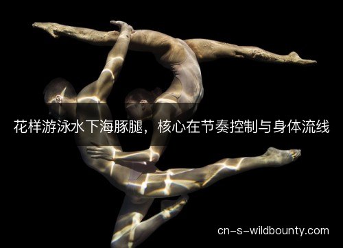 花样游泳水下海豚腿，核心在节奏控制与身体流线
